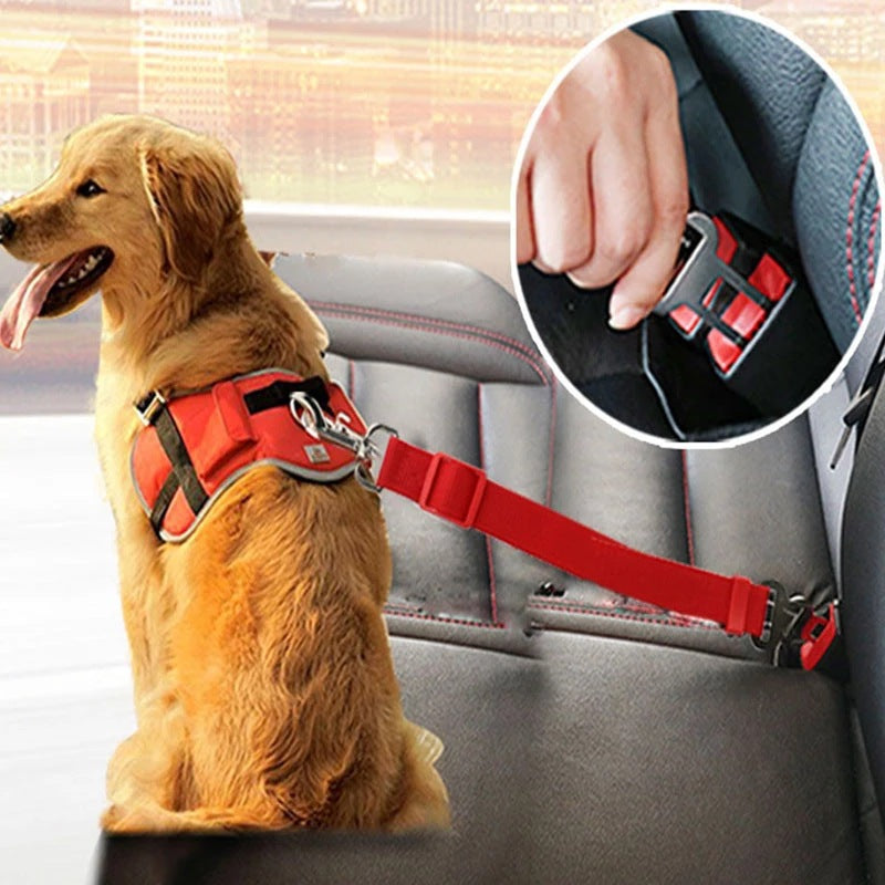 Adjustable pet car seat belt with red strap, metal clip, and buckle detail
