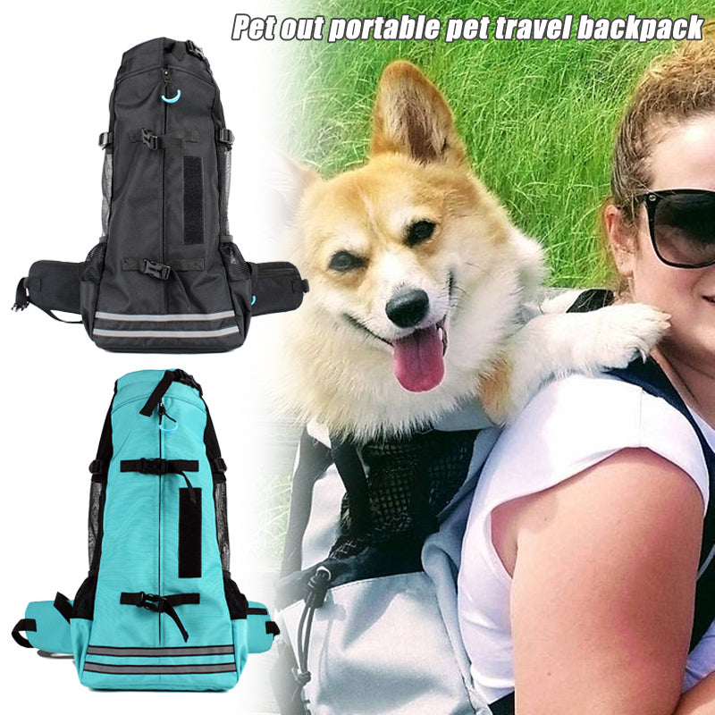 Pet carrier backpack set in black and turquoise, front zipper and adjustable straps