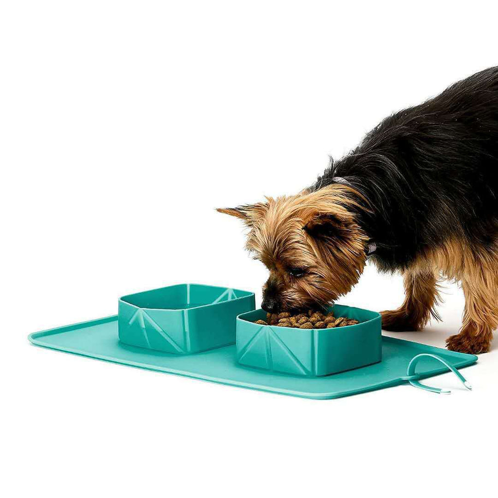 Turquoise foldable pet travel bowl set with two sections on mat