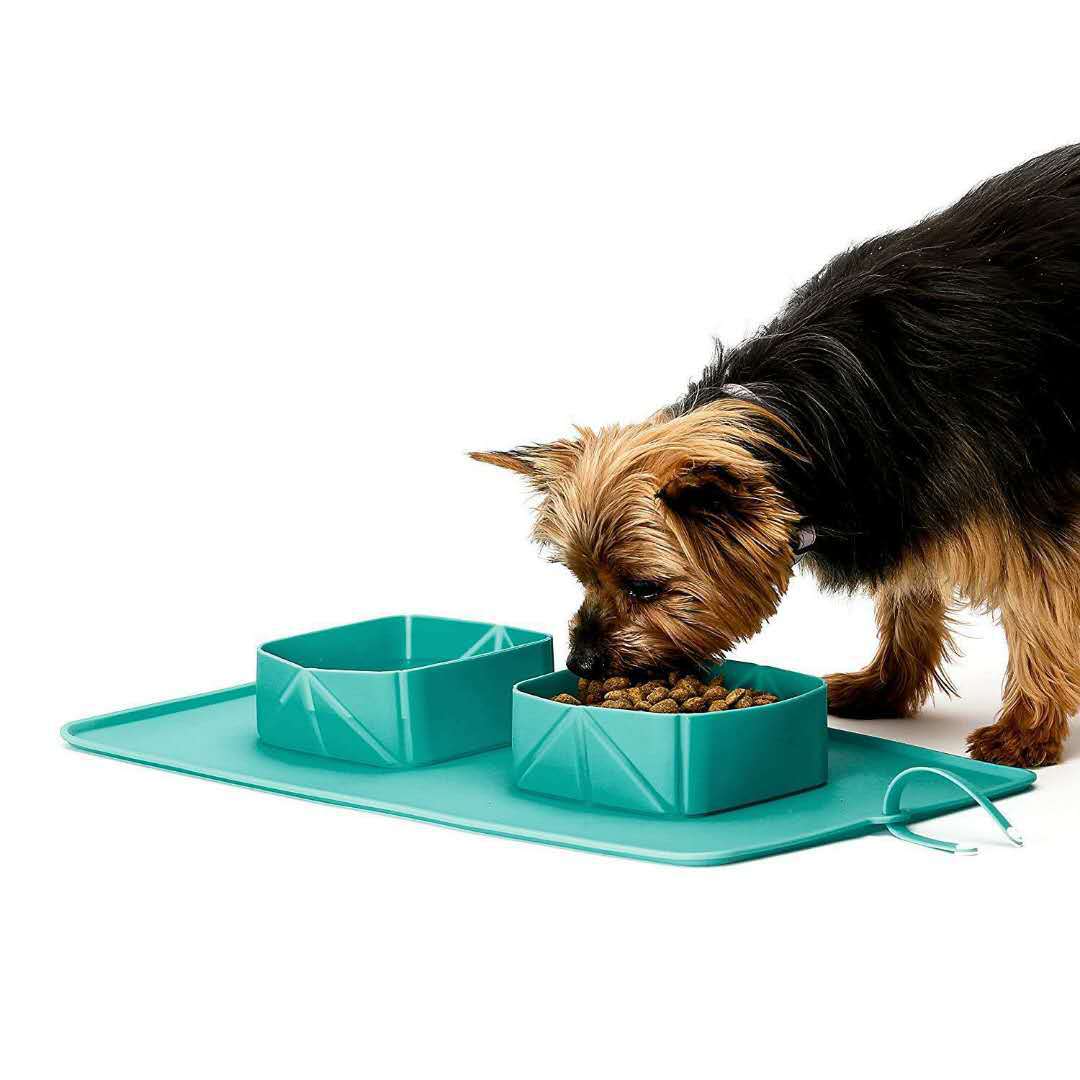 Turquoise foldable pet travel bowl set with two sections on mat