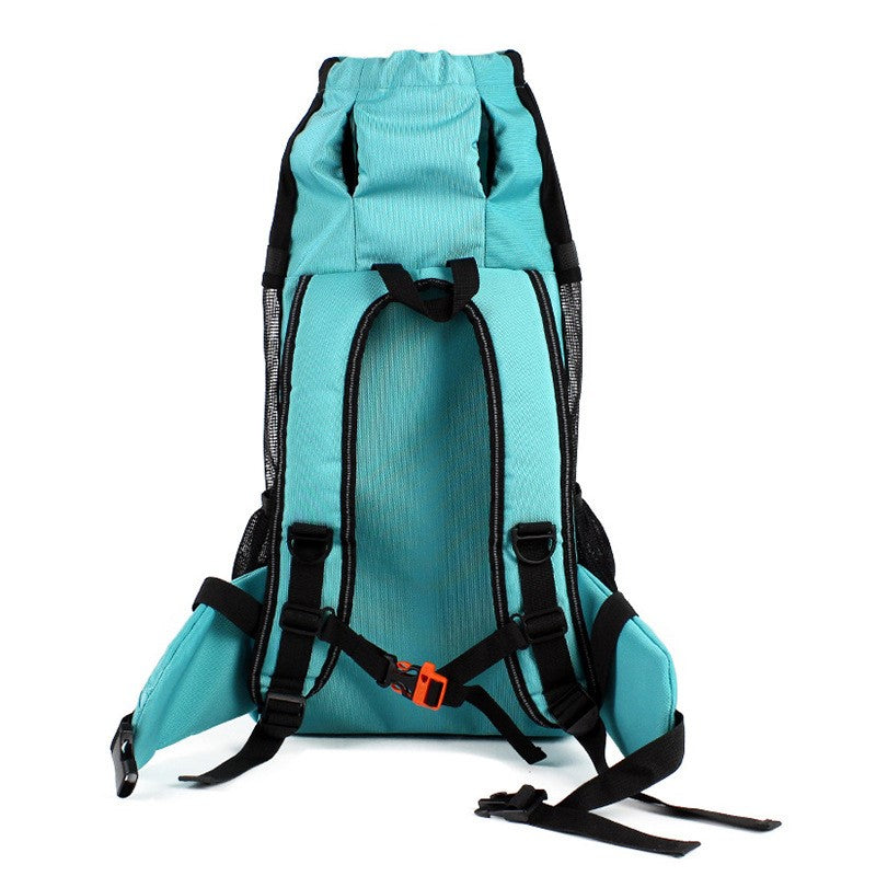 Turquoise pet carrier backpack back view with adjustable harness straps
