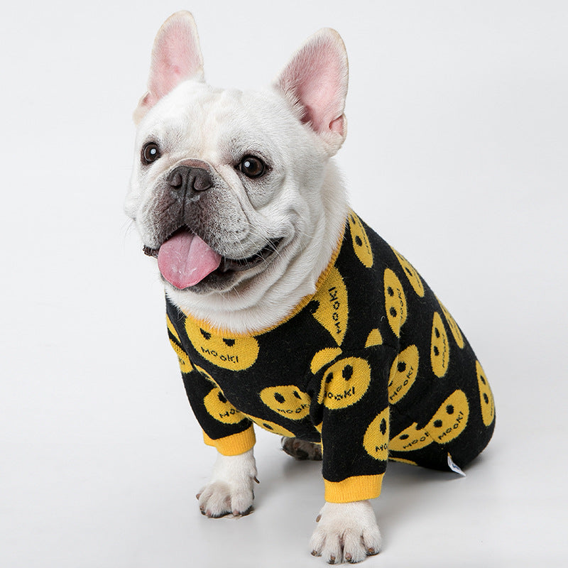 Dog wearing yellow-and-black winter sweater with character print and ribbed trim
